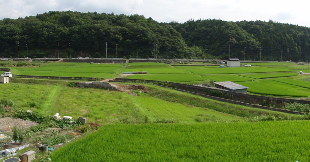 国道307号沿い、宇治田原小学校付近から見た宇治田原町の町並み